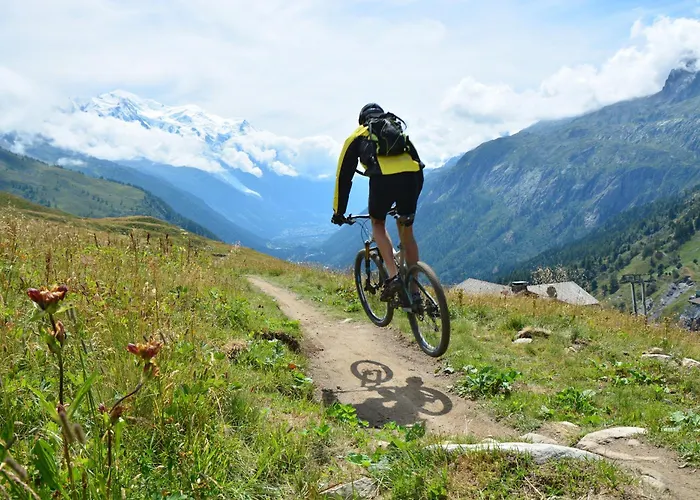 Grand Roc - Ancolies 217 - Happy