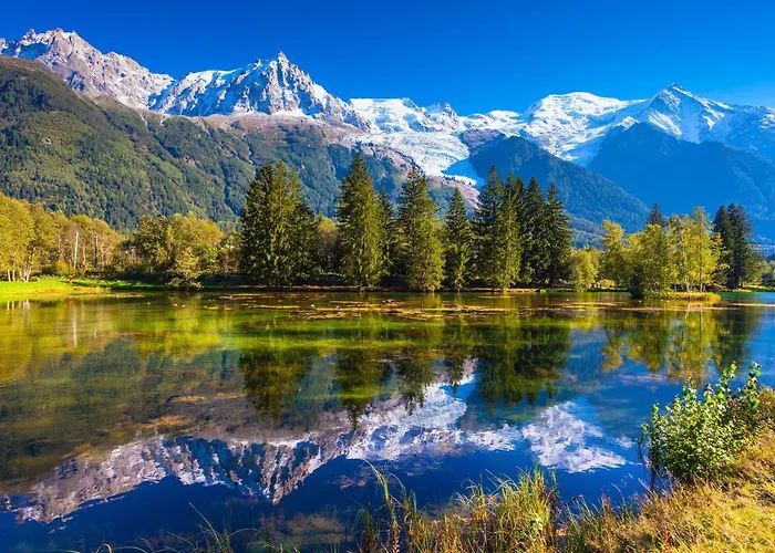 Grand Roc - Ancolies 217 - Happy * 霞慕尼