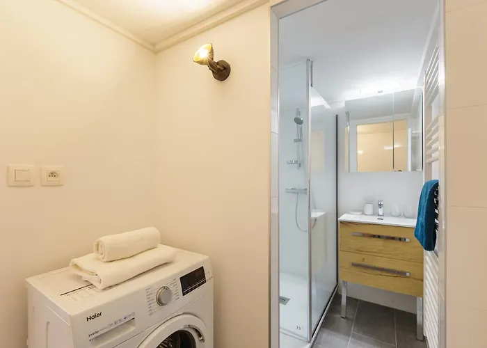 公寓 Grand Roc - Ancolies 217 - Happy 霞慕尼