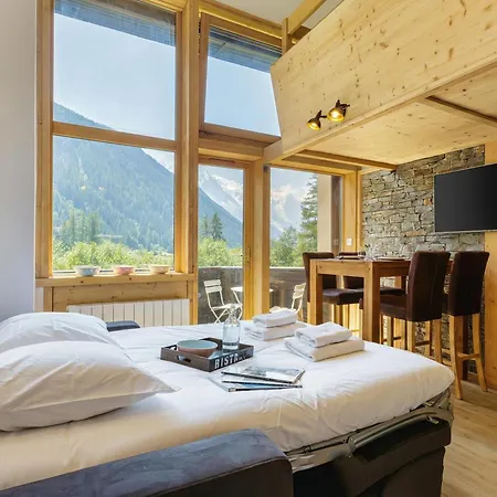 Grand Roc A217 From Slopes 150m, Mont-blanc View, Parking & Wifi - Happy * Chamonix