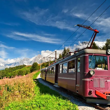 Grand Roc - Ancolies 217 - Happy Chamonix