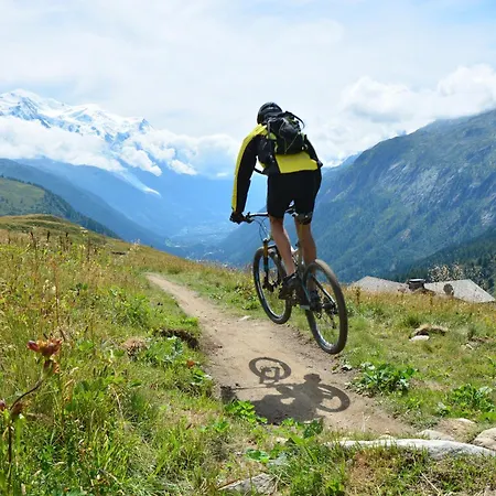 Grand Roc - Ancolies 217 - Happy 公寓 霞慕尼